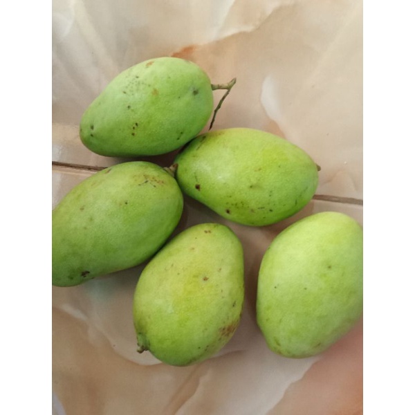 MANGGA MUDA ATAU PELEM BUAT MANISAN 1 KG