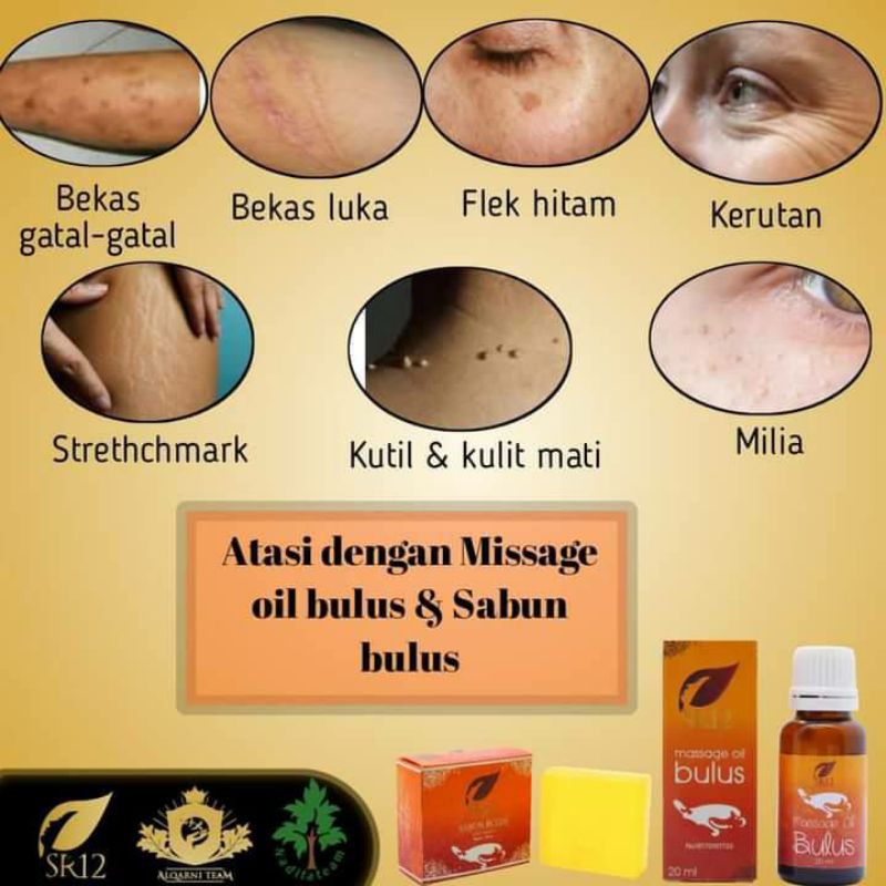 MINYAK BULUS ORIGINAL 20 ML/ MINYAK PIJAT BPOM HEBAL/MINYAK PIJAT SERBAGUNA/PENGHILANG BEKAS LUKA