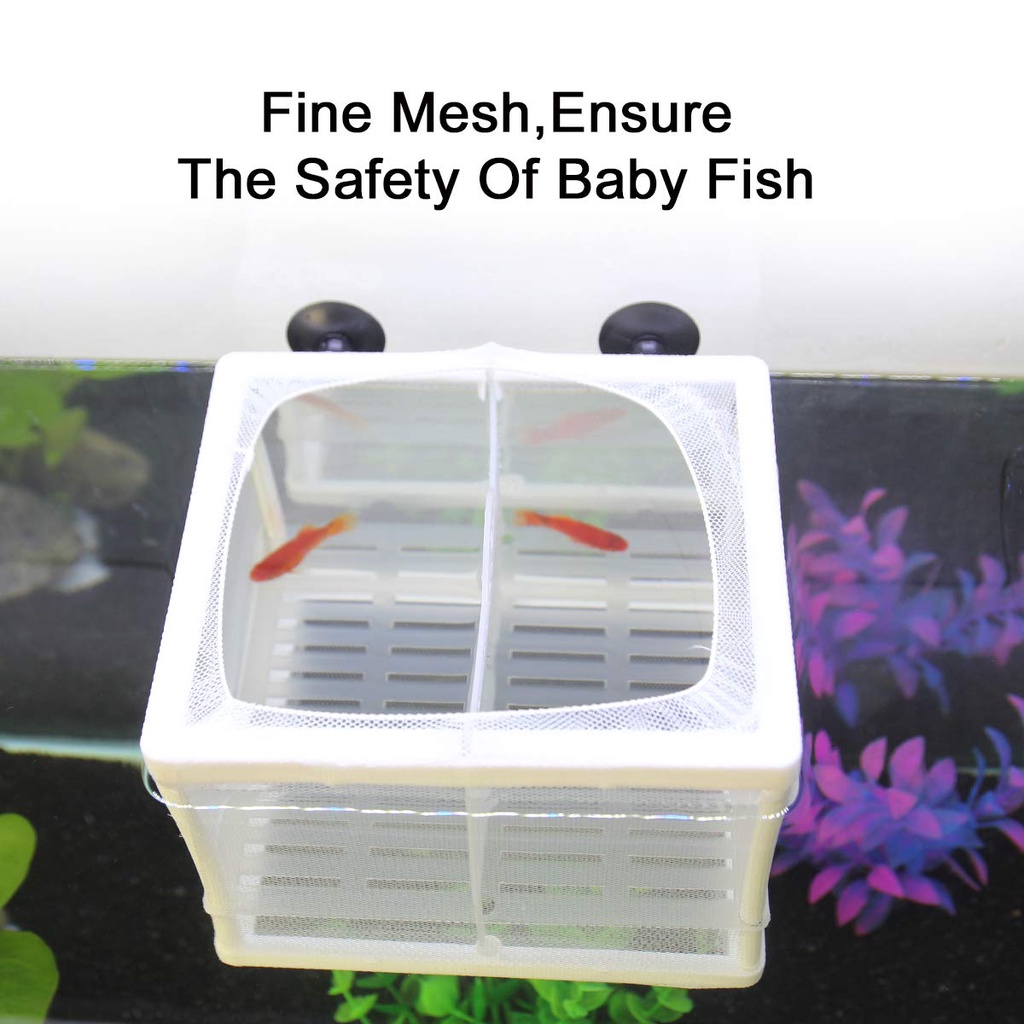 Net Pemisah Ikan Box Karantina Ikan Aquarium Jaring Box Karantina Ikan