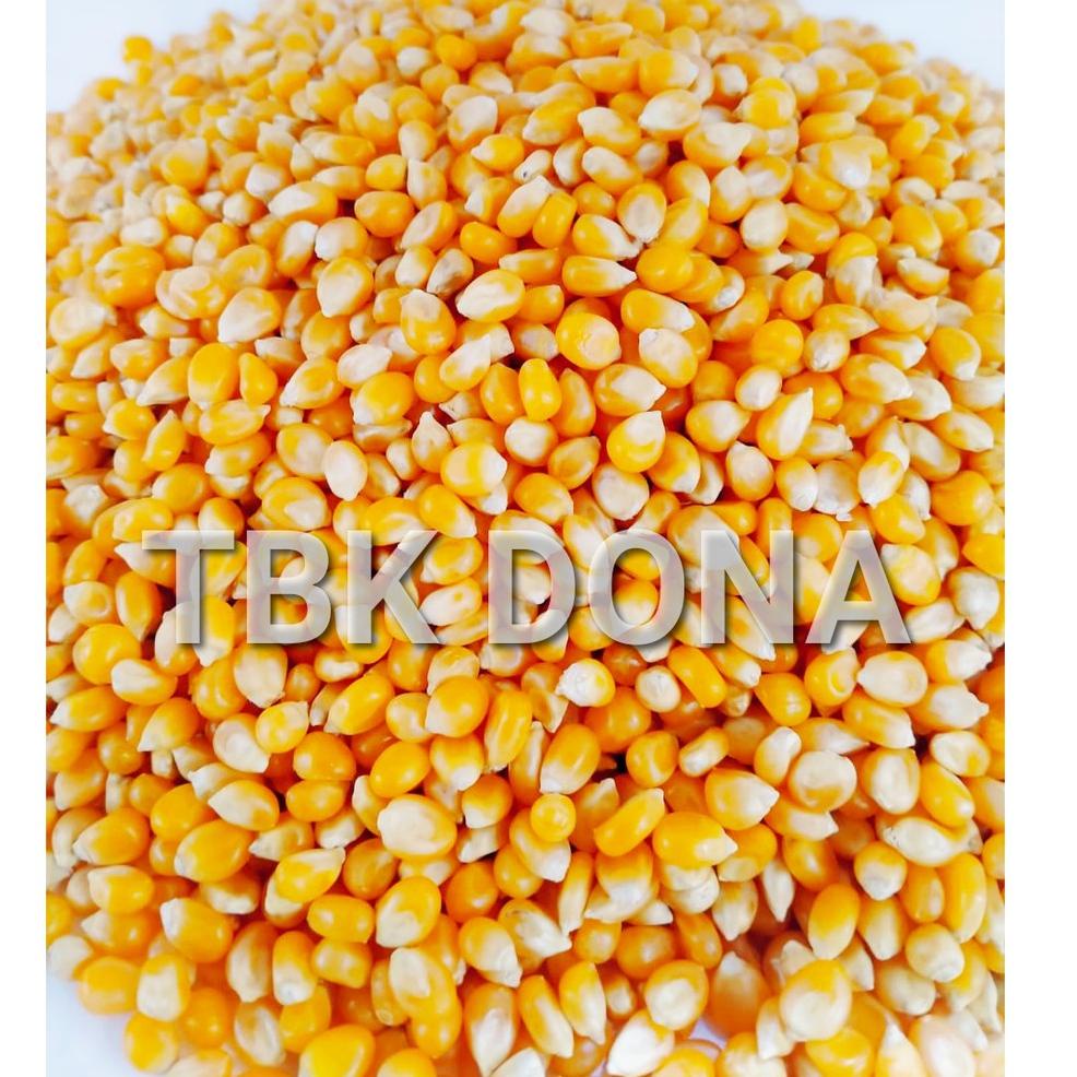 

Kirim Sekarang D8MUG Jagung PopCorn 1 kg 48 Model Terkini