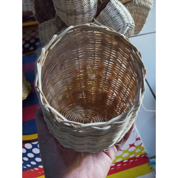 Gowok Blackthroat, Sarang Burung Kenari