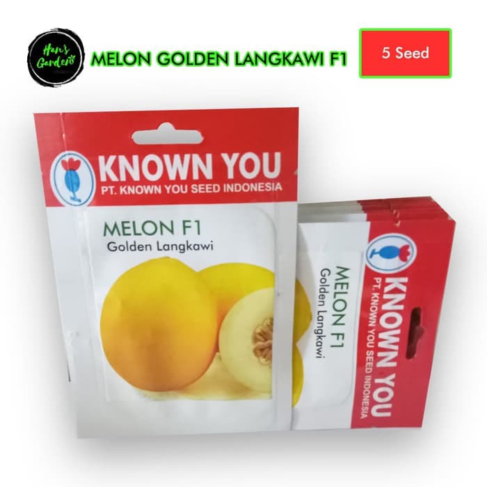Jual Benih Melon Golden Langkawi F1 (Known You Seed) terbaik