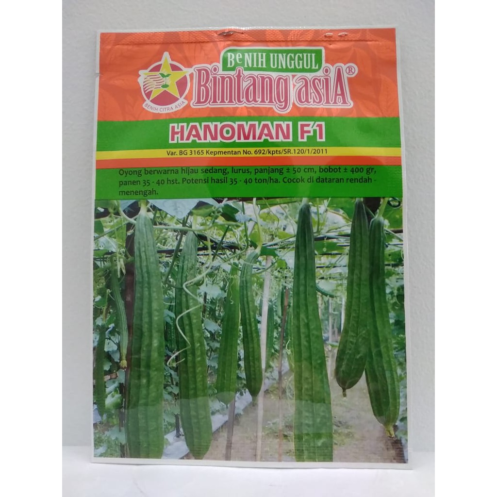 Benih Oyong / Gambas Hanoman F1 Bintang Asia @ 10 gram