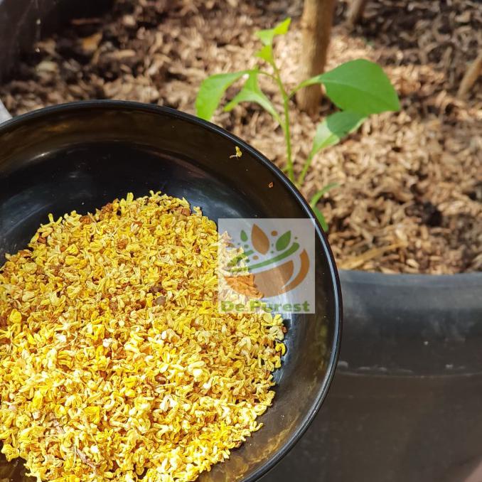 

[[BISA COD]] Osmantus Tea Flower Import 50g (Repack) - 50 gram PRODUK TERBATAS Kode 249