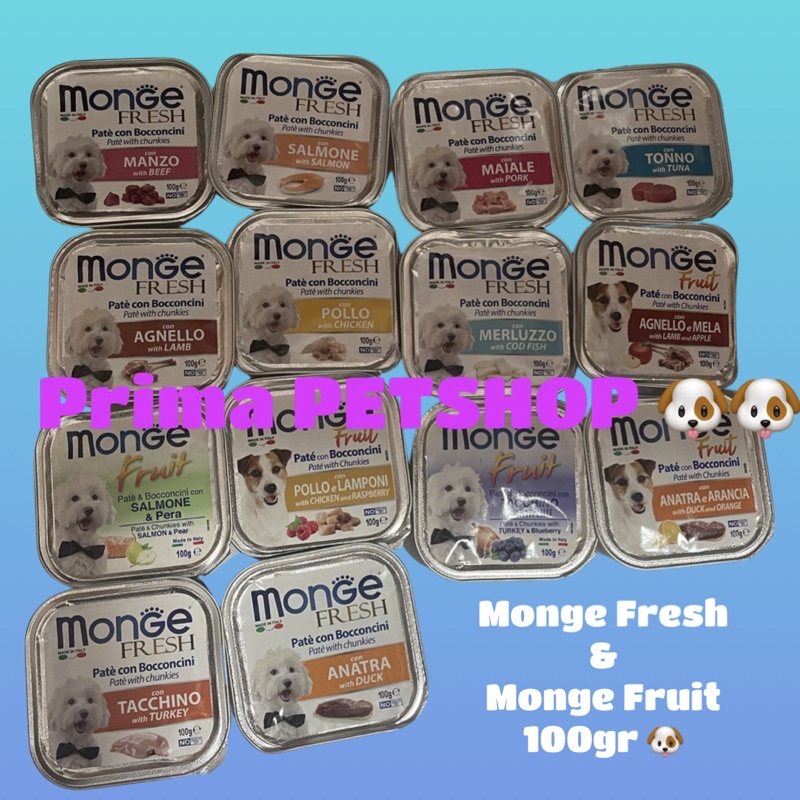 Harga Mongee Terbaru Mei 2023 |BigGo Indonesia