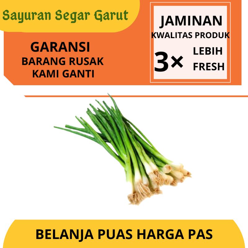 

Daun Bawang Besar Super Segar Fresh Per Ikat Bawang Daun by Sayuran Segar Garut