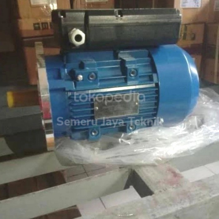 Famoze Pro B5 GMYL 1 hp rpm 1500