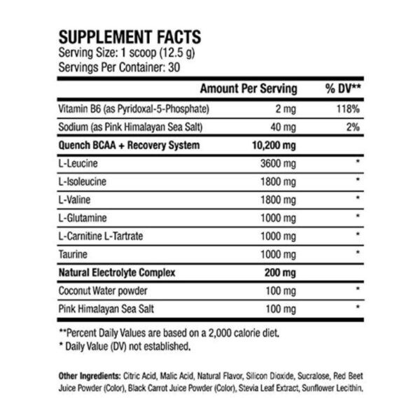 ANS Quench EAA 30 Serving Essential Amino + Electrolytes BCAA Ans Performance