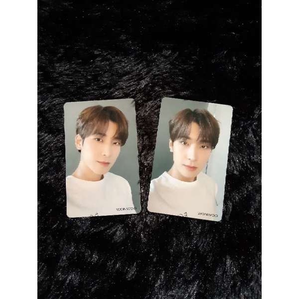 PHOTOCARD WONWOO SEVENTEEN HMV THANKS HITORIJANAI