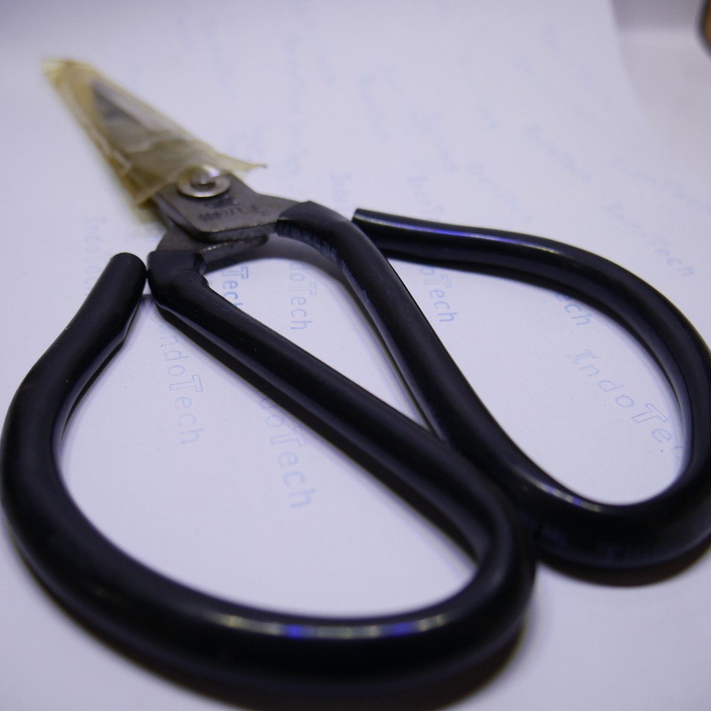 

murah gunting kodok besar