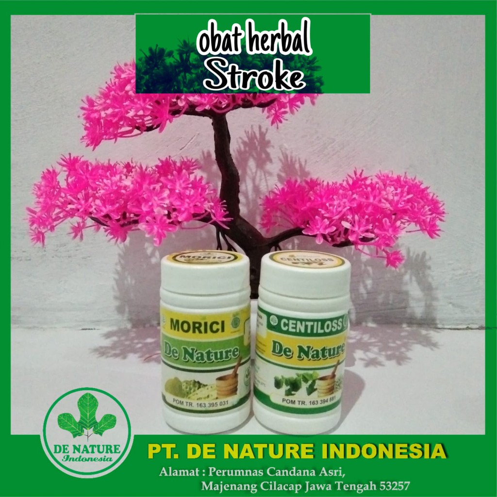 

Centiloss Morici De Nature ASLI Obat Stroke MUJARAB Herbal