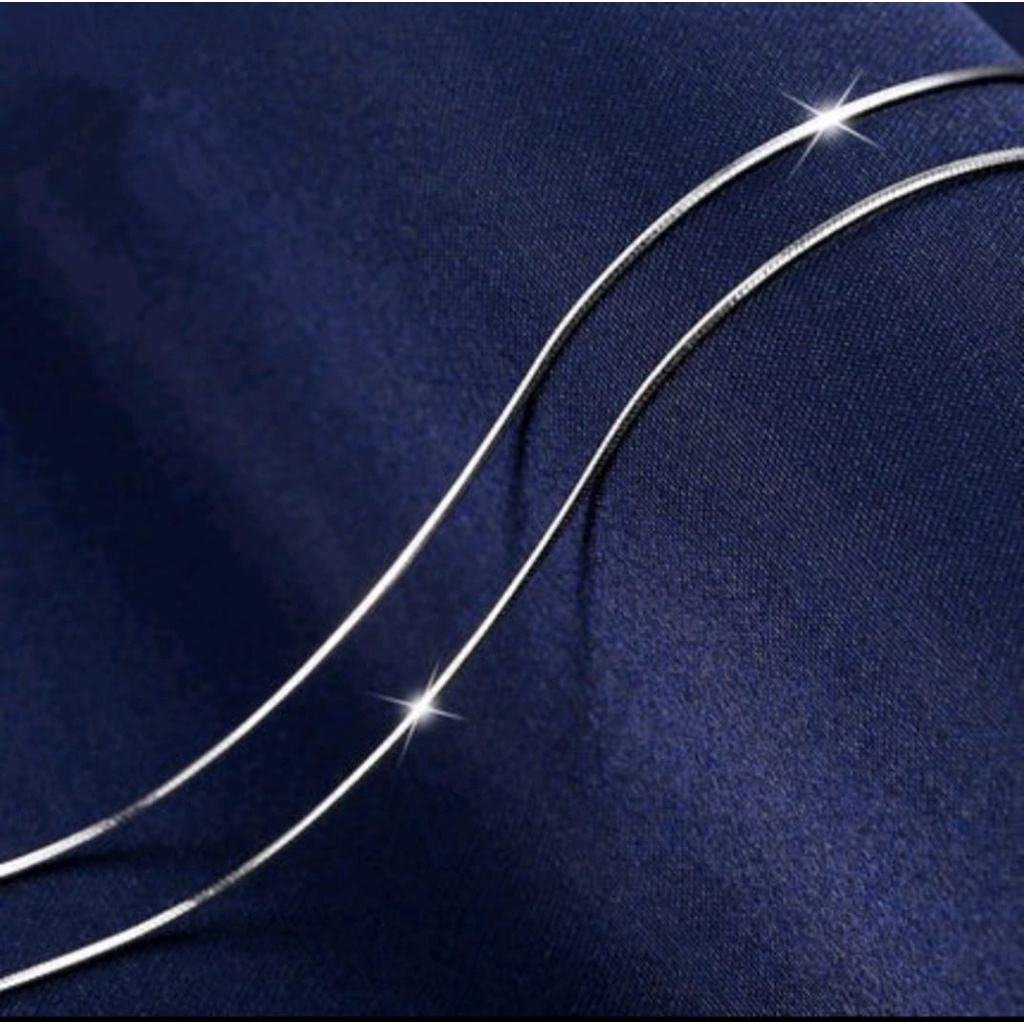 Kalung titanium anti karat model gepeng untuk pria dan wanita