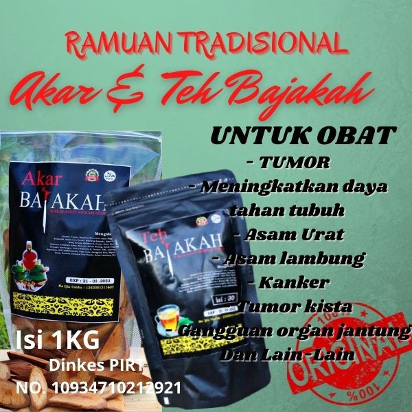 

BAJAKAH untuk obat kanker tumor asamurat dll bajakah asli kalimantan