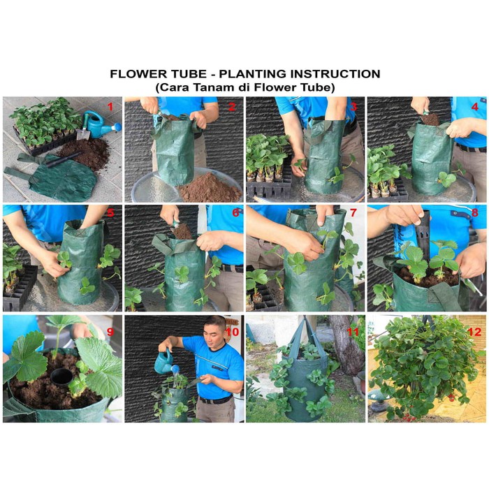 Flower Tube 12 Slits Lubang pot tanaman HIAS GANTUNG Kantong Bunga planter bag / planterbag