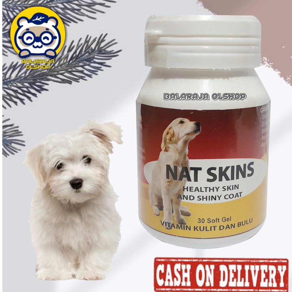 Vitamin Bulu Anjing Puppy Penumbuh Pelebat Bulu Mencegah Rontok - Nat Skins