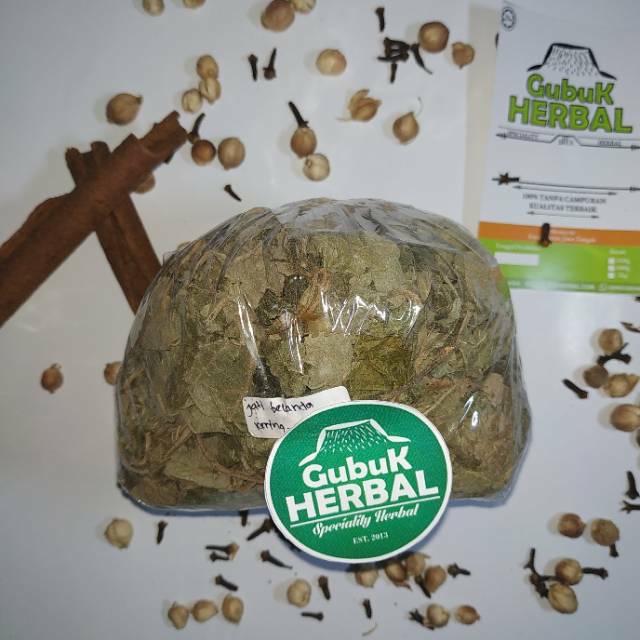 

DAUN JATI BELANDA KERING 50 GRAM - Sonchus Arvensis - MURNI - JS