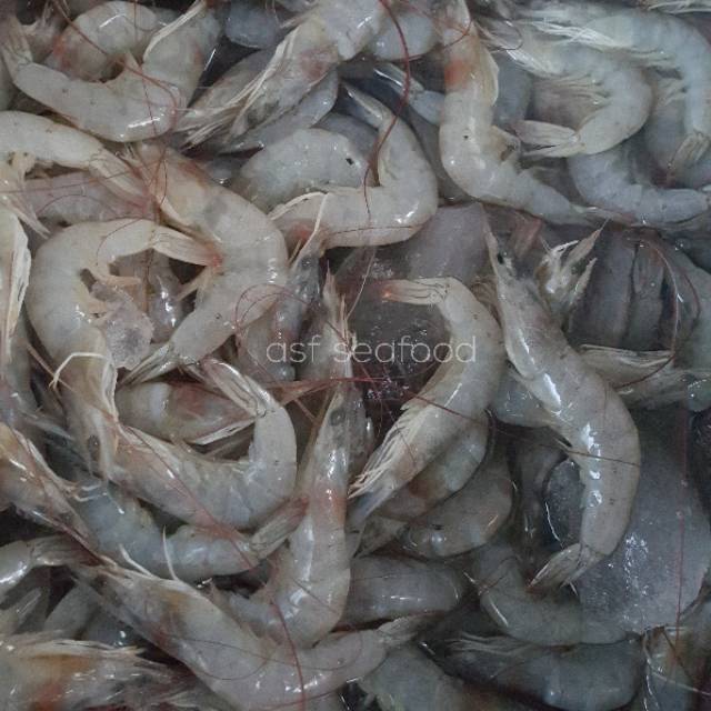 

Ay00! Udang Vaname Segar 60-70 Frozen 500gr