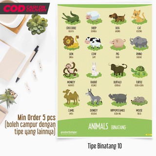 710+ Gambar Hewan Dan Namanya Bahasa Indonesia HD