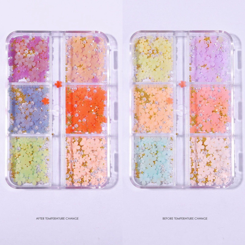 Preva 6 Sekat Manik Akrilik Bentuk Hatikupukupuhati 3D Untuk Dekorasi Nail Art Butterfly