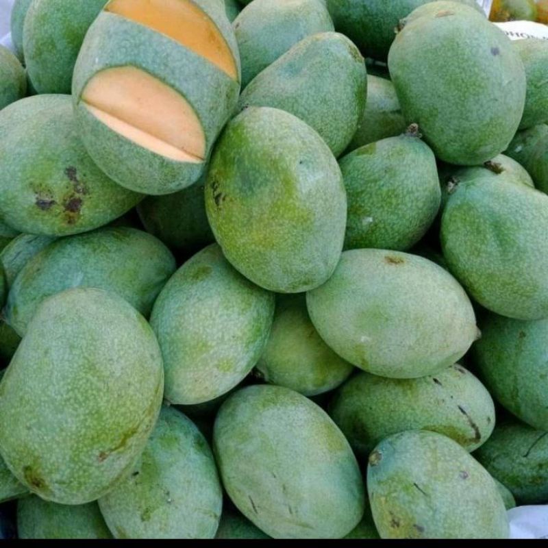 Buah Mangga Manalagi madu 1 kg (khas Probolinggo)