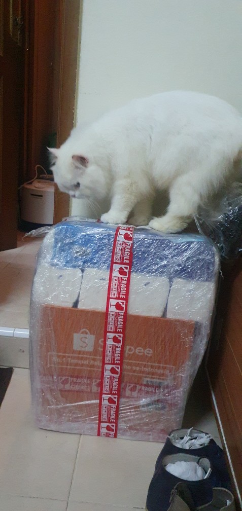 Hanger Plastik / Gantungan Baju (isi 6 Pcs)