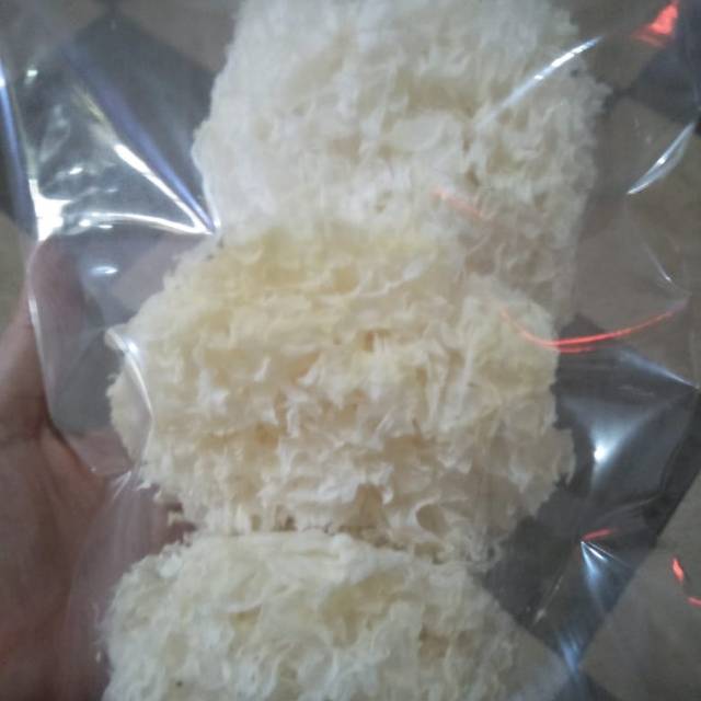 

JAMUR PUTIH PEK BOK NI WHITE FUNGUS 50gram
