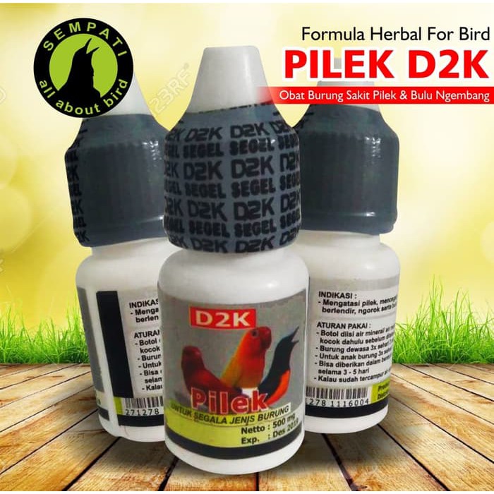 PILEK D2K OBAT BURUNG SAKIT PILEK HIDUNG BERLENDIR NGOROK BULU NGEMBAN