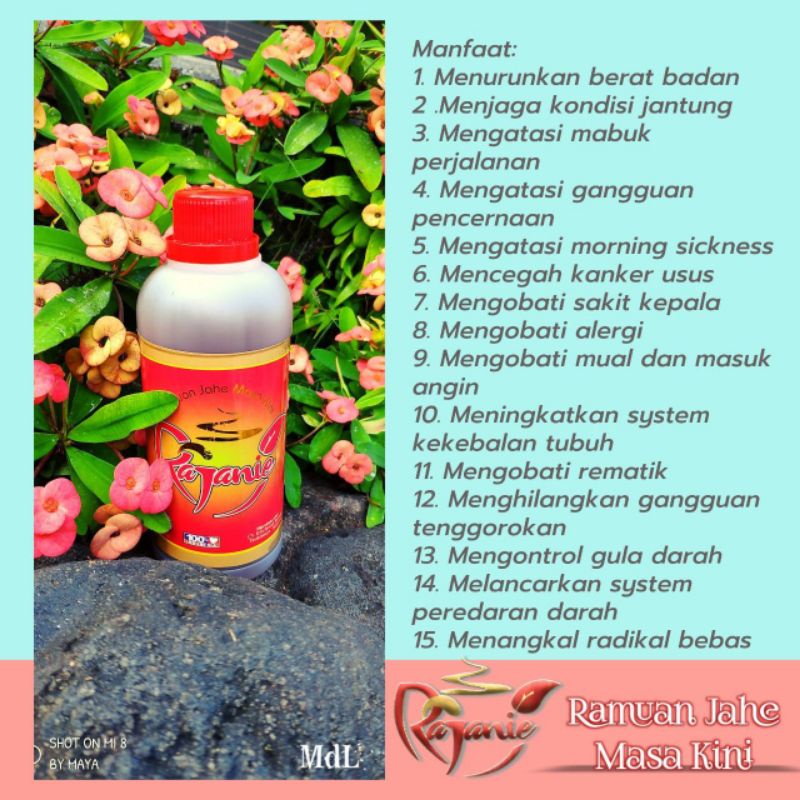

Rajanie sari jahe merah