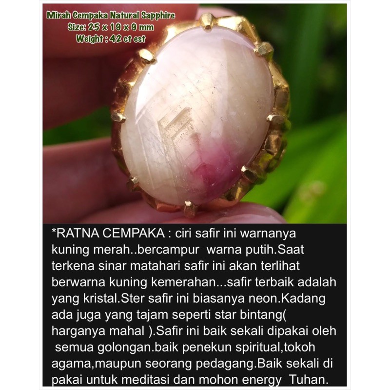 NATURAL SAPPHIRE / MIRAH CEMPAKA JUMBO