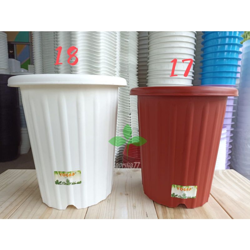POT BUNGA - TANAMAN YOGAP 19