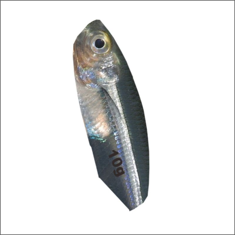 Water Slide Decal Drag Metal Slow 10 gram