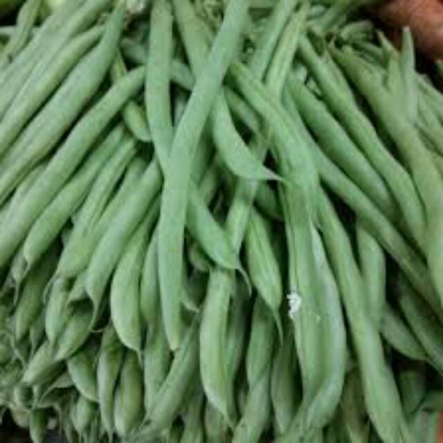 

BUNCIS SEGAR 1/2 KG