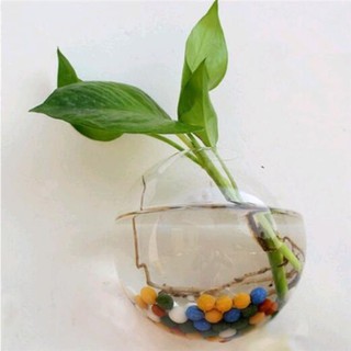 Vas Bunga Terrarium Gantung Bentuk Bola Kaca Shopee Vas Bunga Terrarium Gantung Bentuk Bola Kaca Shopee