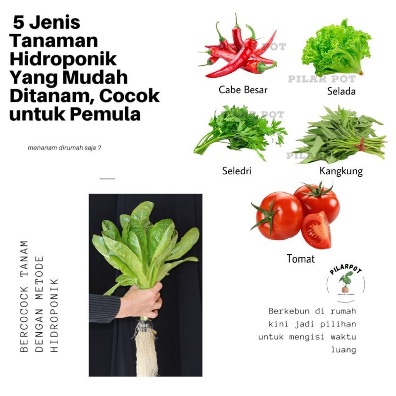 BENIH BIBIT PAKET SAYURAN LENGKAP SIAP PAKAI - PAKET BERKEBUN LENGKAP