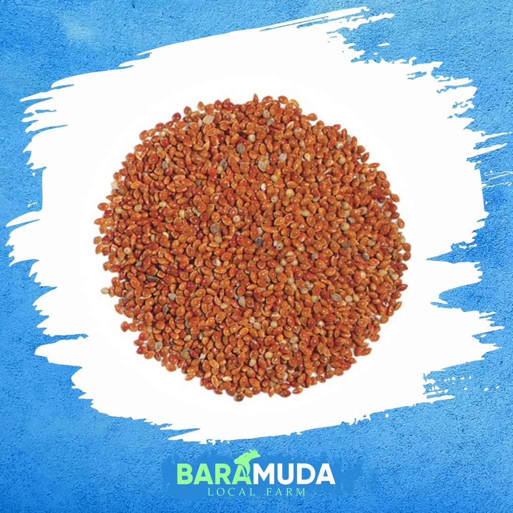 Milet Merah | milet | pakan lovebird | Pakan Burung | pakan ternak