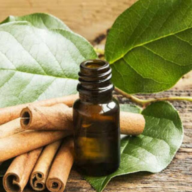 

Minyak Kayu Manis, Daun / Cinnamon Leaf Oil