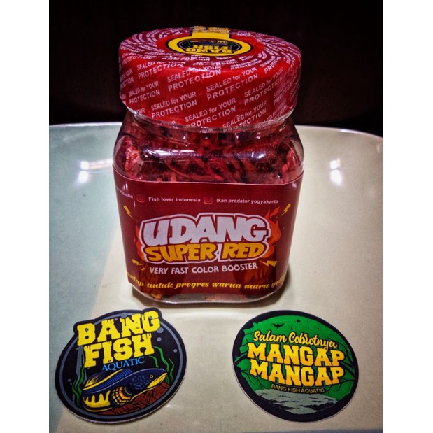 Udang super blue & red bangfish