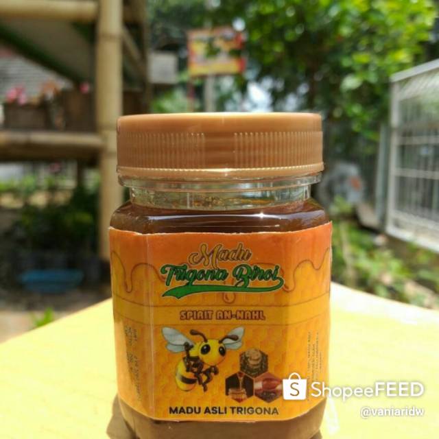 Madu Trigona Biroi Anti Virus