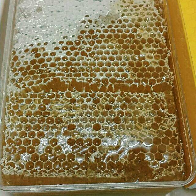 

Madu sarang