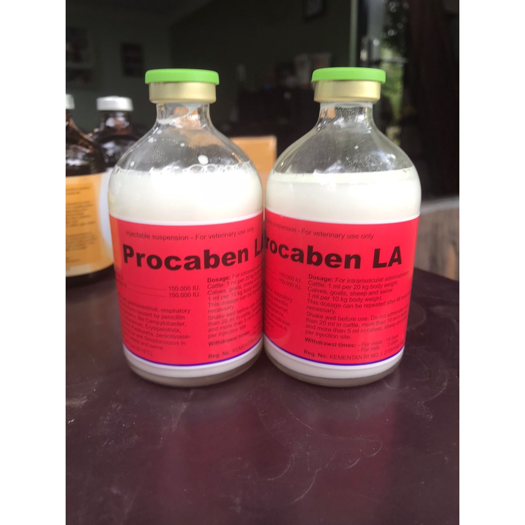Procabean LA | Obat Hewan Injeksi