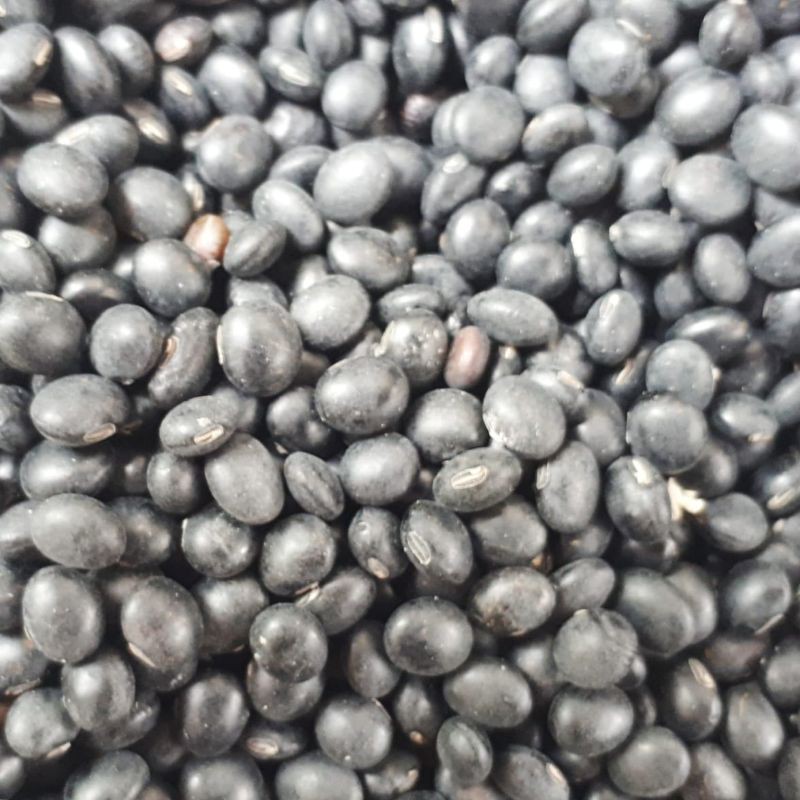 

KEDELAI-HITAM-ORGANIK-DALAM-BAMBU_500GRAM/ORGANIC-BLACK-SOYBEAN-IN-BAMBOO_500GRAMS
