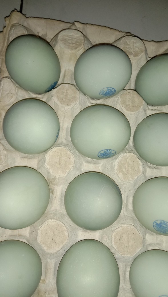 Gamis Batik Syari Madiya Katun Unggul Jaya Dress Kombinasi Mic Wolfice Sopal All Size Fit To Xl 102