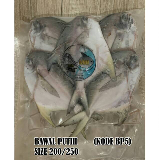 

Ikan Bawal Putih size 200/250 isi 5 pcs ( High Quality )