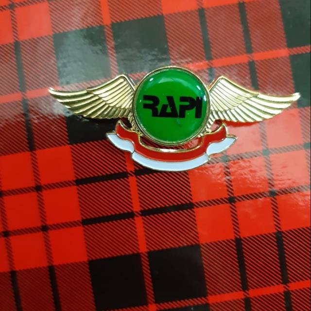 Pin bros logo RAPI model wings