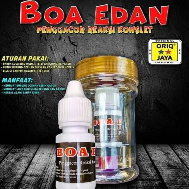 Vitamin Boa Edan Oriq Jaya burung Lovebird dan Ocehan