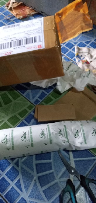 Anggrek Botol Dendrobium Melintir Hybrid