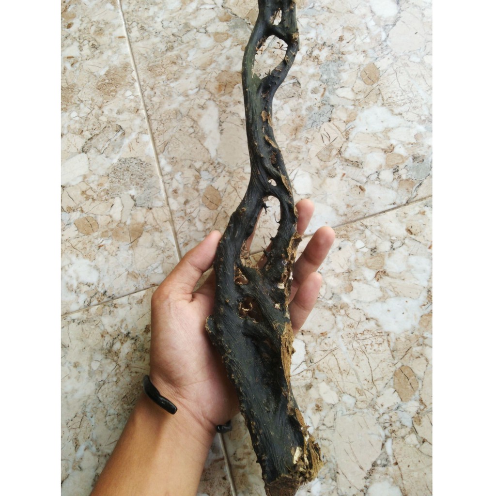 BAHAN AKAR BAHAR JUMBO LIMITED EDITION 