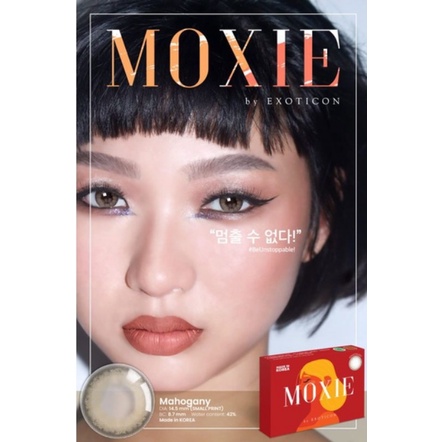 SOFTLENS MOXIE MAHOGANY ( MINUS 0.50 S,D -6.00 ) 14.5 MM BY EXOTICON