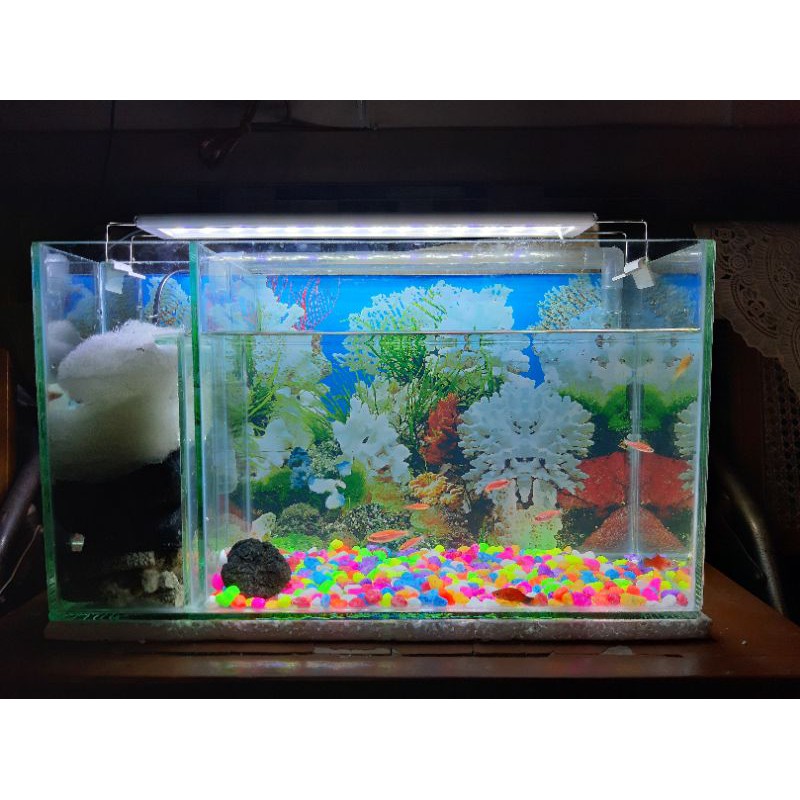 Aquarium Filter Samping Full Set