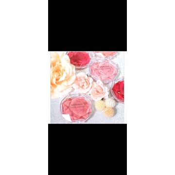 CANMAKE Cream Cheek